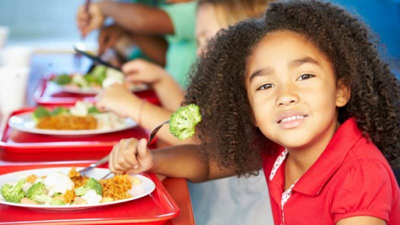 alimentacao-escolar-brasil-desafios-redacao-online