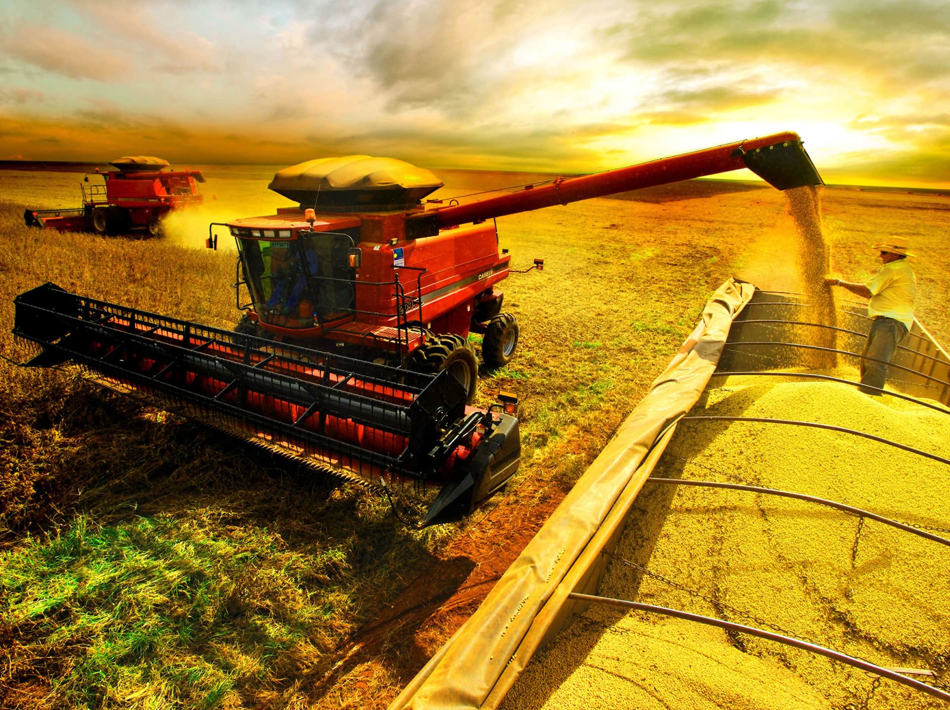 agronegócio como ameaça ao meio ambiente