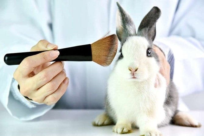 testes-em-animais-e-fabricacao-de-cosmeticos