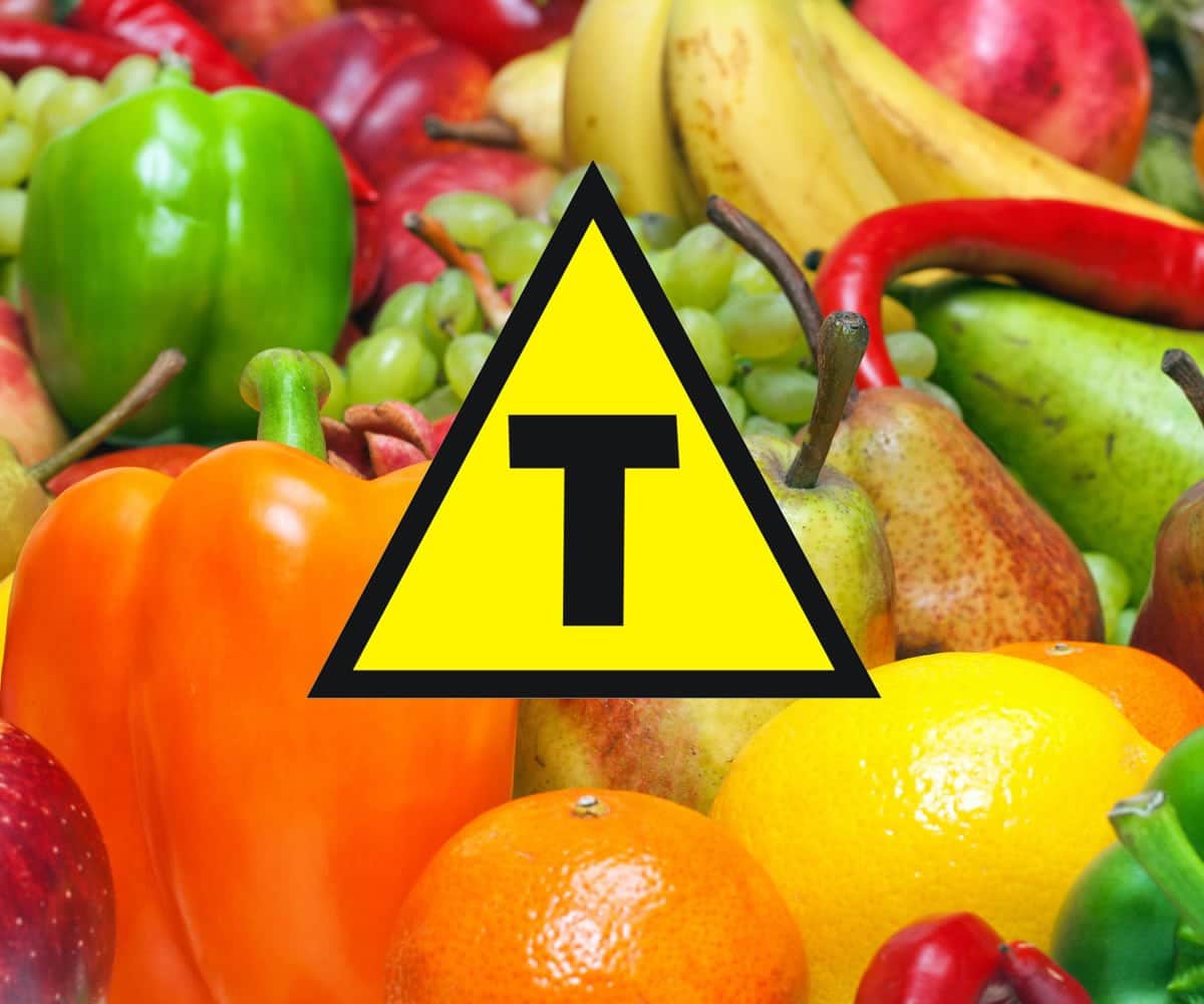 Transgênicos no Brasil