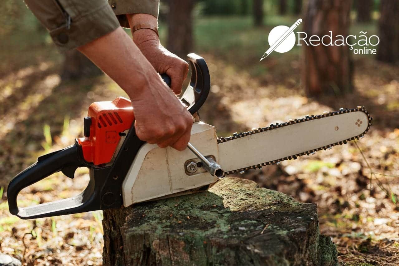 homem desmatando floresta