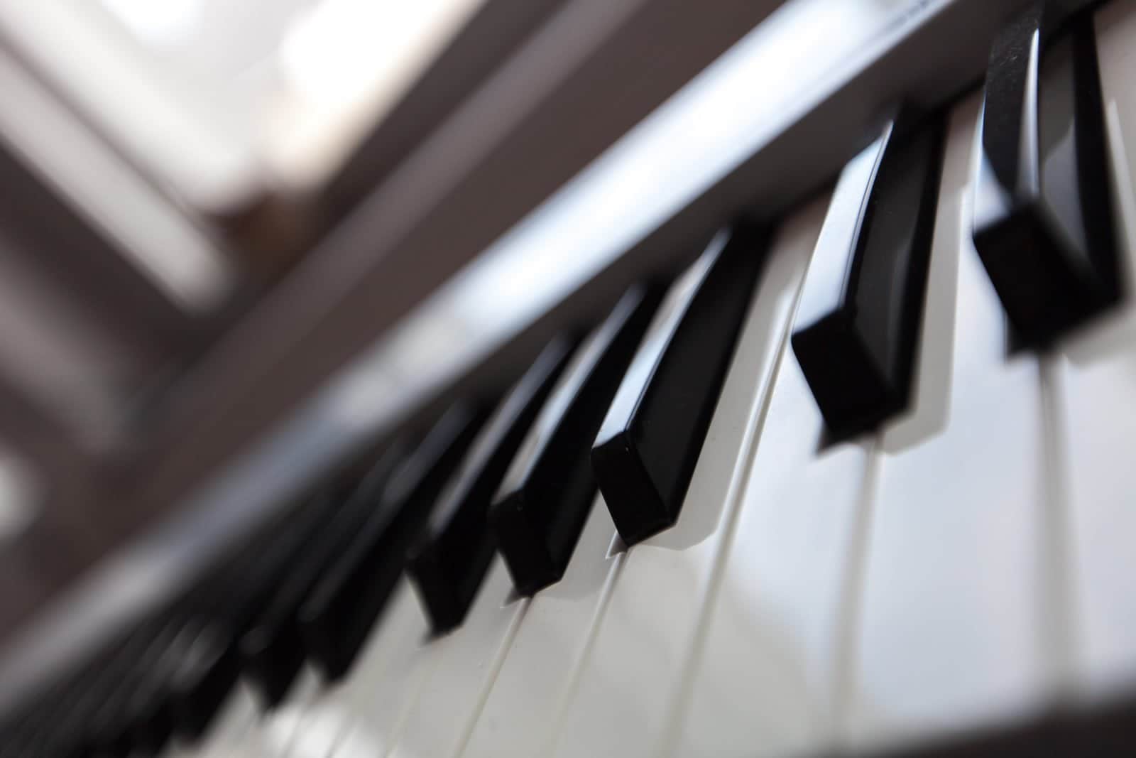 importância da música na vida das pessoas